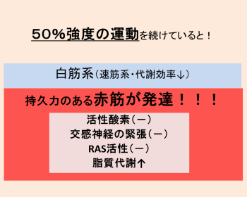 《Dr.もん次朗38》50パーセント理論