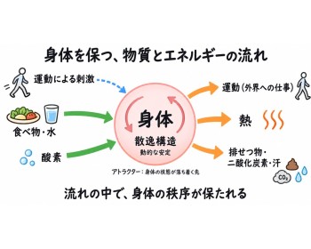 《Dr.もん次朗105》The Body Organizes Itself -身体は「思ったように」ではなく「やったように」変わる-