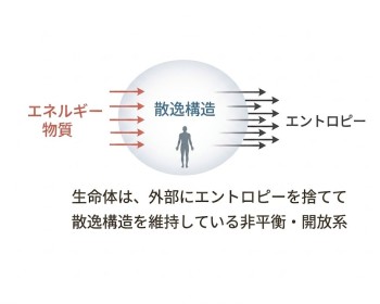 《Dr.もん次朗106》⑭ 生命を「散逸構造」として見る
